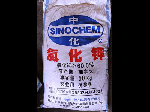 氯化鉀